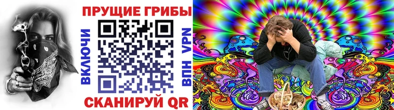 Псилоцибиновые грибы Psilocybe  Октябрьский 